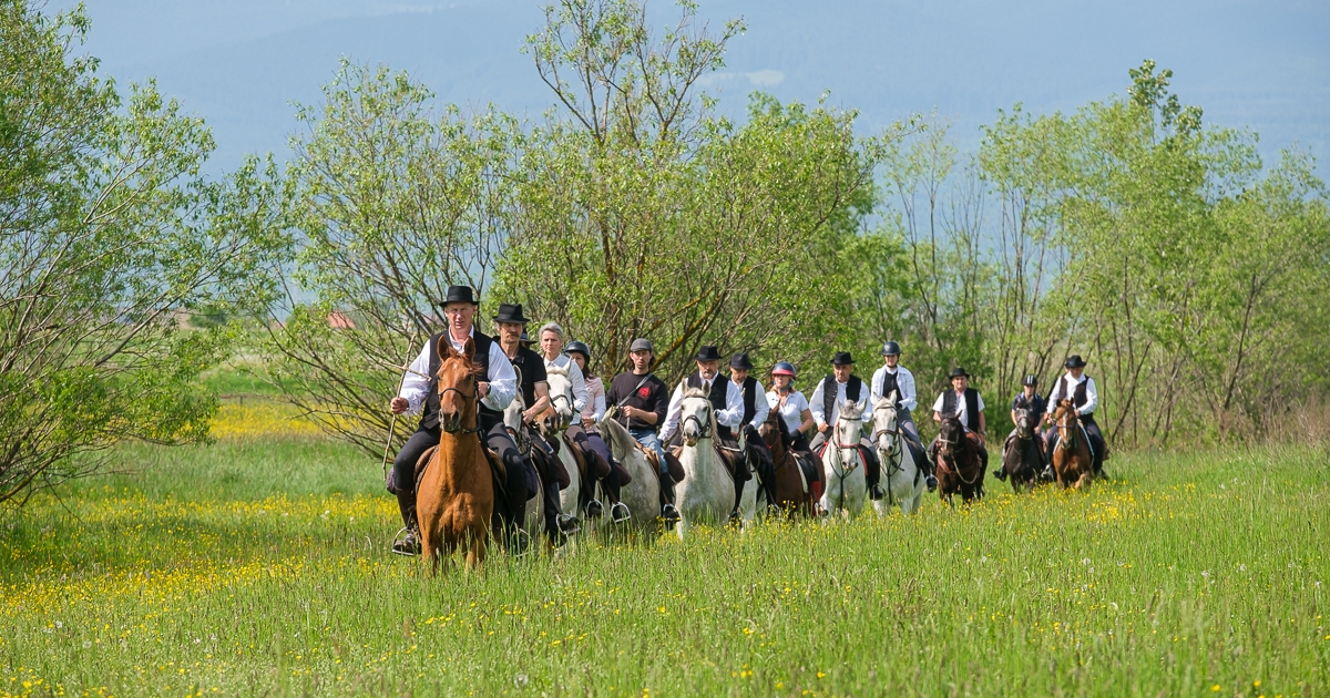 Péntekre érkeznek meg a somlyói nyeregbe a lovas zarándokok